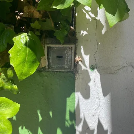 Rentalsevilla San Clemente Lejlighed Sevilla