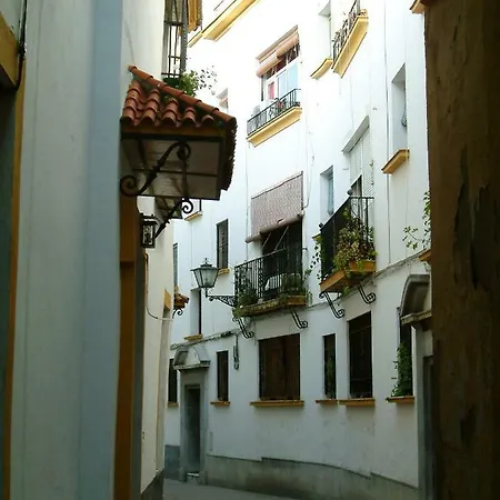 Rentalsevilla San Clemente 公寓 *